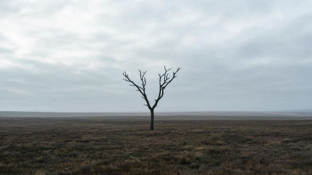 Easy Guide to Loveless Metaphor Refantazio: Uses, Examples & Key Tips